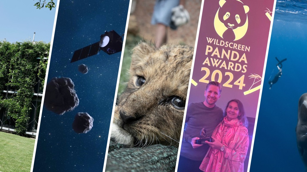 A collage of five vertical images: a green garden, a spacecraft near asteroids, a lion cub on grass, two people with an award beside a Wildscreen Panda Awards 2024 poster by Terra Mater Studios, and a diver with a whale underwater.